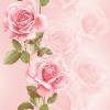 19P 2120-3.jpg class=